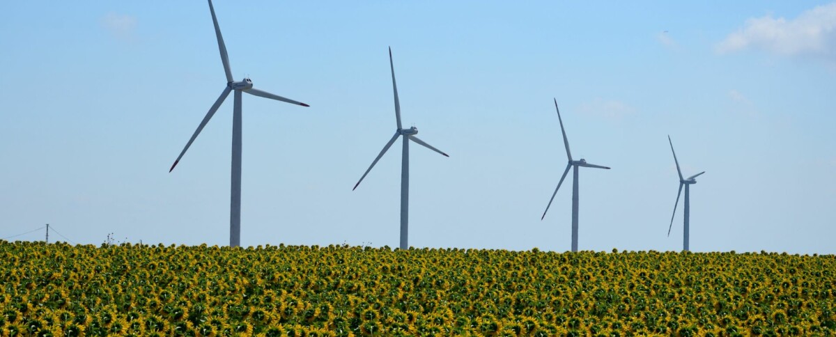 Energie rinnovabili: come fanno la differenza nel combattere la crisi climatica?