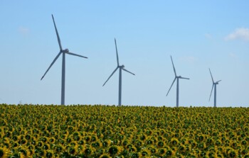 Energie rinnovabili: come fanno la differenza nel combattere la crisi climatica?